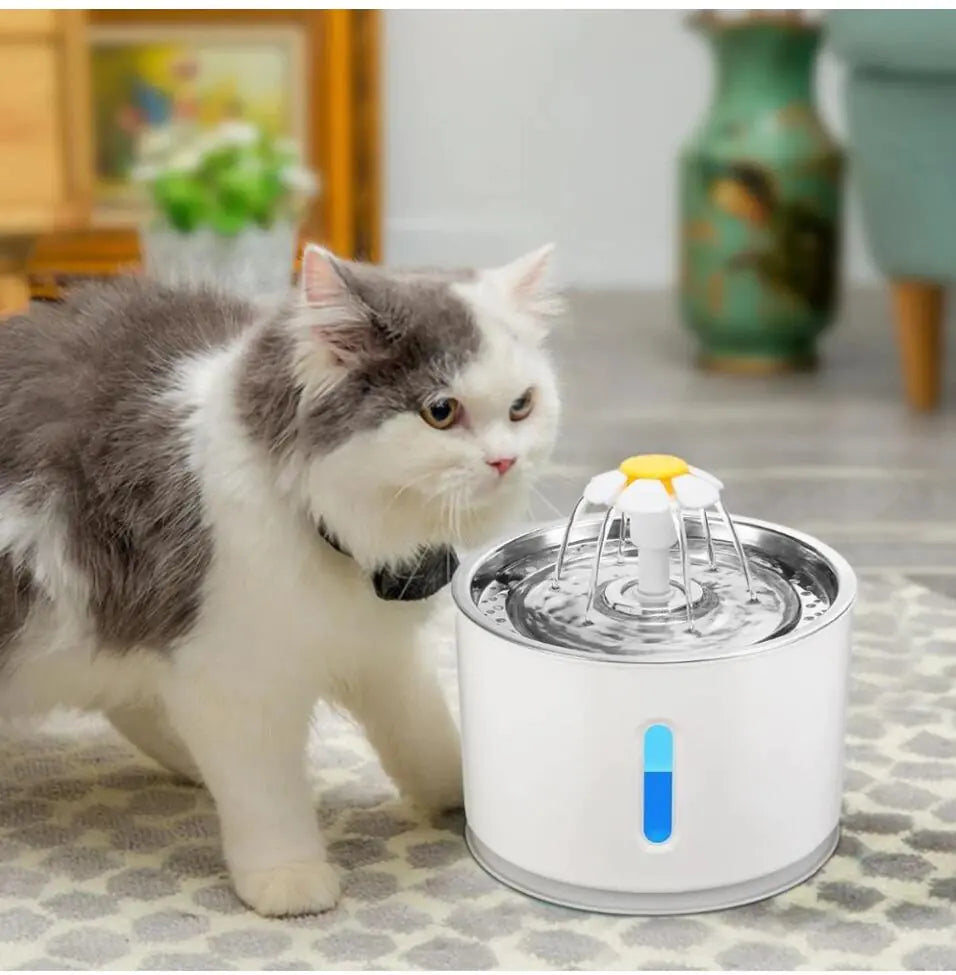 CatQuench