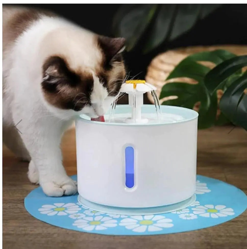 CatQuench